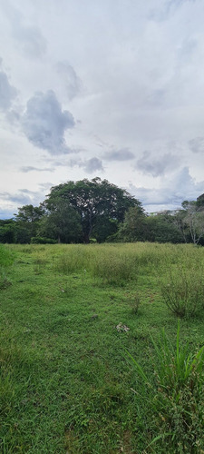 Lote En Parcelación Manantiales En Santa Fe De Antioquia