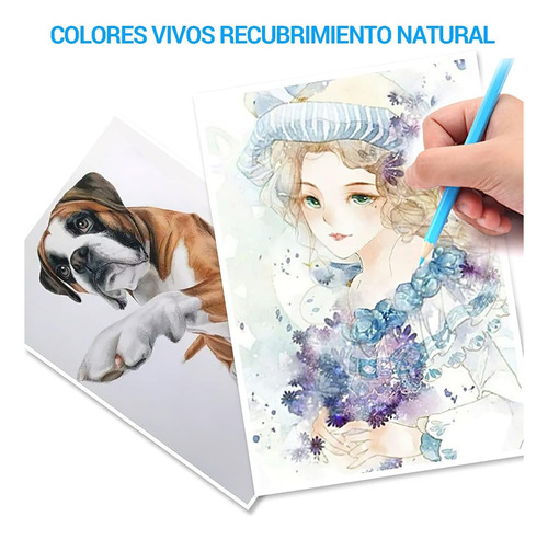 Set 72 Lapices Colores Arte A Base Aceite Dibujo Colorear