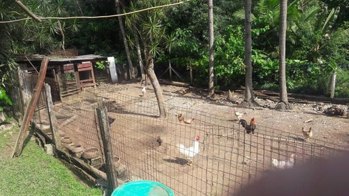 Chácara - Parelheiros - 6 Dormitórios Wachafi53056