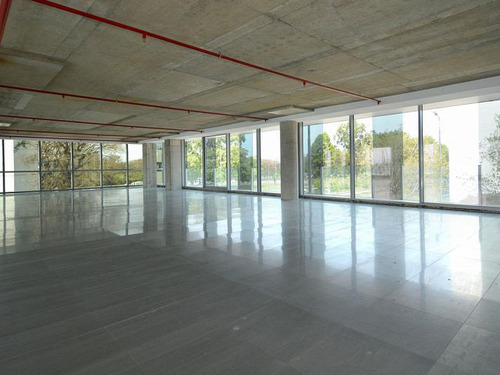 Grierson Cecilia 322 5º 6º