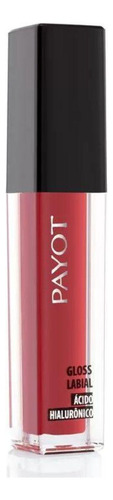 Gloss Labial Payot Cor Floripa Ref:49204 4,5g