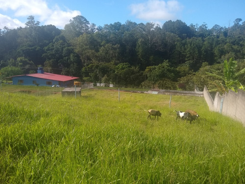 Vendo Chácara 5.000 Em Itapecerica Da Serra (4208)