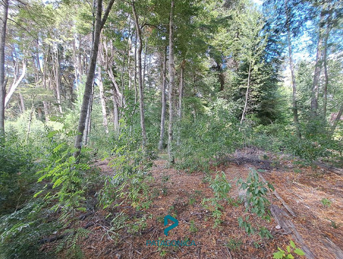 Venta Lote/terreno 1996 M2 Plano Con Proyecto Aprobado, Altos De Manzano Villa La Angostura