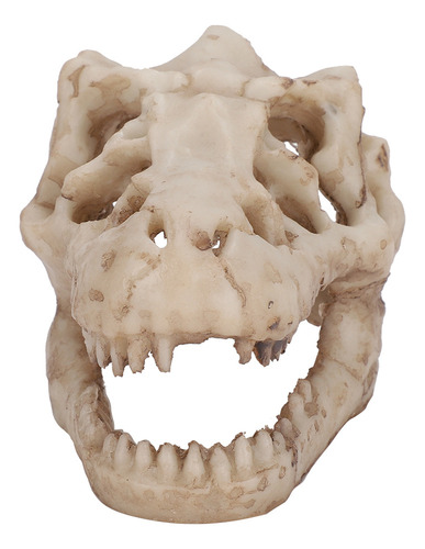 Acuario Artificial Con Decoración De Calavera De Dinosaurio