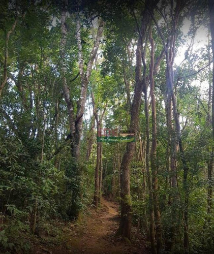 Imagem 24 de 26 de Casa Com 3 Dormitórios À Venda, 360 M² Por R$ 1.600.000,00 - Parque Da Mantiqueira - Santo Antônio Do Pinhal/sp - Ca6075