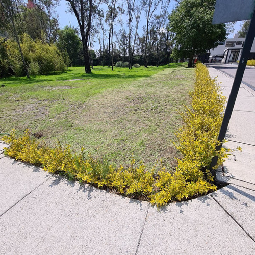 Venta Terreno En Lomas De Vista Hermosa