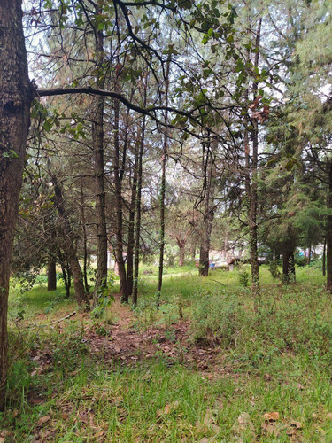Imagen 3 de 23 de En Venta 3 Terrenos En Huitzilac, Morelos.
