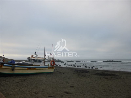 Imagen 21 de 22 de Agrícola En Venta En Navidad