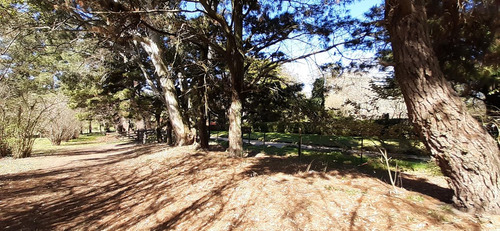 Fraccion De 8.1000 M² Parquizada Y Forestada