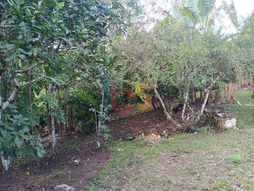 Imagem 19 de 24 de Sítio Amplo Com Casa 3/4 - 5866