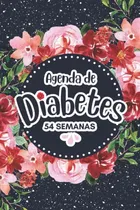 Comprar Agenda De Diabetes: Cuaderno De Diabetes Libreta Para Contro