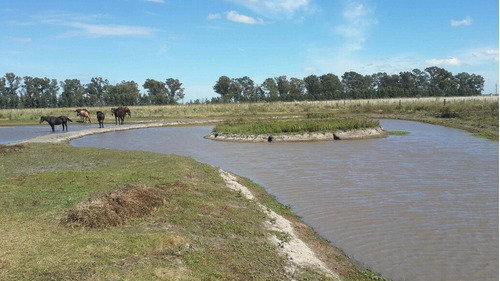 Imagen 10 de 18 de Casa Campo Alquilo Fin De Semana Quincena Mes Más De 2300 Hectáreas Para Disfrutar