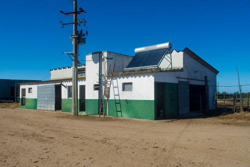 Vendo Campo De 242 Hectas En Proximidades A Ciudad De Libertad