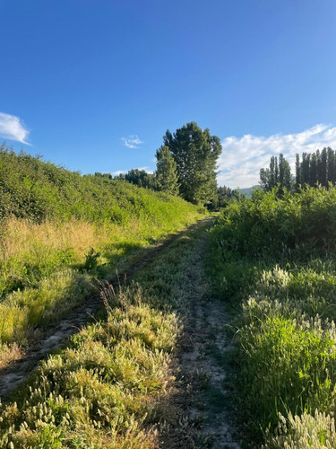 Parcela 1 Hectarea San Jose De Cocalan Las Cabras