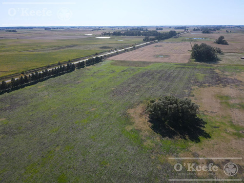 Campo En Venta De 77 Has En Saladillo - Agricola Ganadero