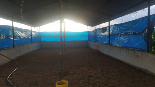 Imagen 3 de 7 de Vía La Salesiana, Sector La Orurita Ii Alto Barinas