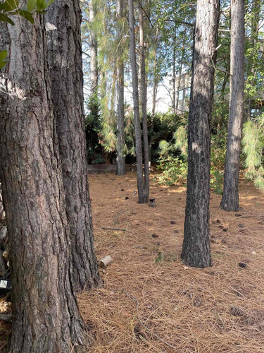 Imagen 5 de 9 de Lote A La Venta En La Lomada De Pilar