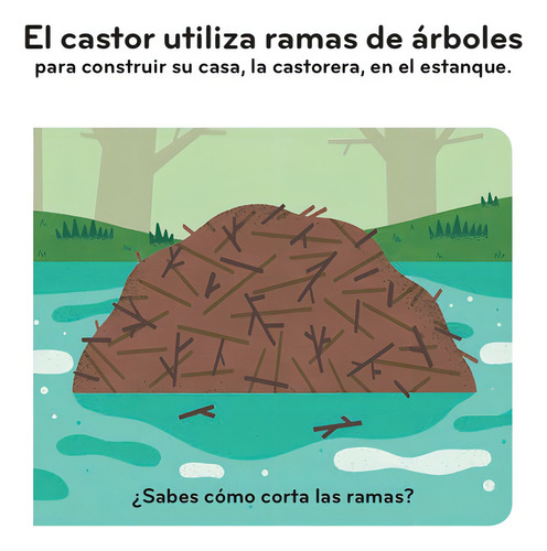 Las Casitas De Los Animales, De Bailey, Ella. Editorial Blume, Tapa Dura, Edición 1 En Español, 2022