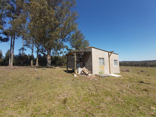 Imagen 8 de 20 de Venta Chacra En Jose Ignacio, Camino Arcos Del Sol 54 Has - Jose Ignacio José Ignacio