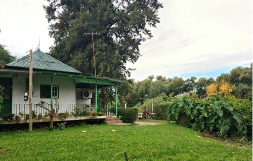 Casa Chalet  En Venta Ubicado En Delta, Tigre, G.b.a. Zona Norte