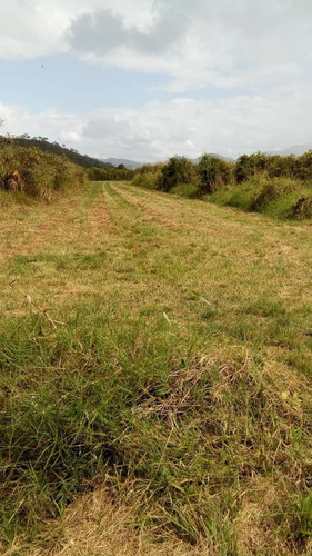 Imagen 4 de 5 de Terreno, En Venta Cod 415365 Liseth Varela 04144183728