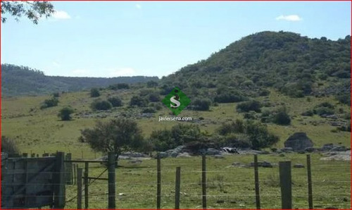 Venta De Campo En Lavalleja, Zona Del Penitente 528 Hectareas, Con Arroyo.- Ref: 168269