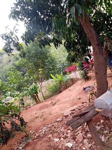 Imagem 6 de 14 de Chacara Em Valão Do Papagaio