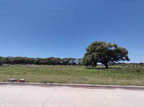 Gran Loteo En San Bernardo, Sobre Colectora!
