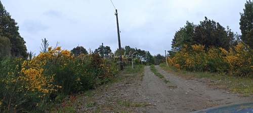Parcela De 5.000 Mts2 En Chepu Comuna De Ancud
