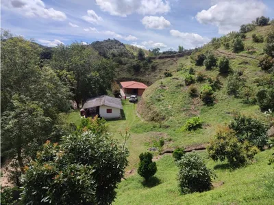 Finca en venta