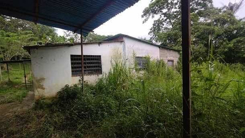 Imagen 4 de 14 de Baja De Precio... En Venta Finca En El Municipio Montalban - Carabobo