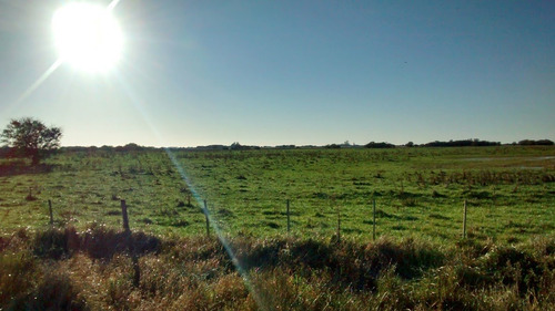 Imagen 3 de 9 de Campo En Gral. Madariaga