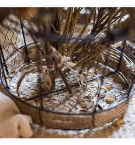 Eggs Wire Storage Basket Storage Basket Fruit And S