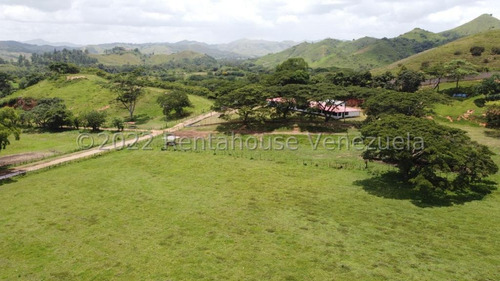 Julio Latouche 25-16896 Finca Ganadera En Venta Carabobo, 267 Hectáreas, Casa Principal De 550 Mts2, Dos Lagunas Para Riego.