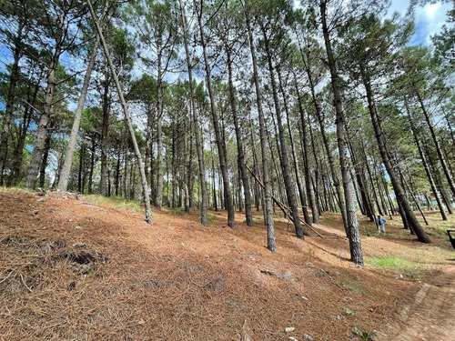 Imagen 5 de 6 de Villa Robles , Excelente Terreno Barrio 2 Albatros ,lote 307