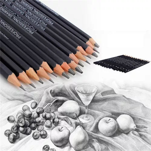 Kit De Lápices De Dibujo Profesional 14 Pcs (14B-4H) Lápiz De Grafito Para  Bocetos/Sombrar Para Artistas Suministros De Arte