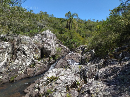 Imagen 15 de 20 de Chacras Financiadas En Aiguá - Maldonado