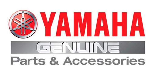 Junta Base Cilindro Yamaha Ybr Ys Xtz 250 Original - Cycles