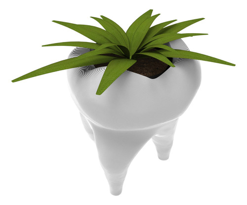 Vaso Decorativo Suculentas Cactus Dente Odontologia Odonto Cor Branco