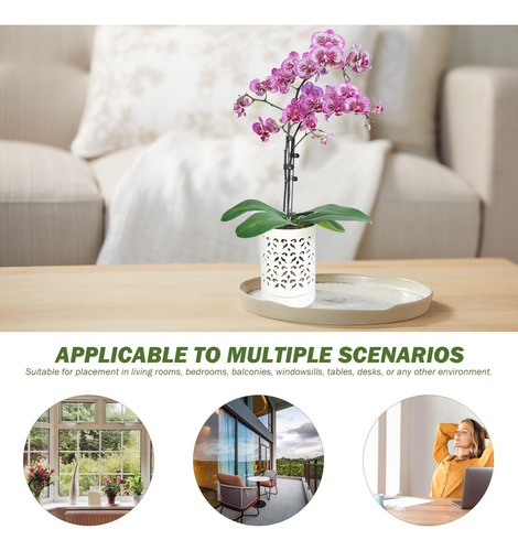 Macetas De Orquídeas Con Agujeros De Orquídea De 4k