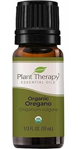 Terapia Planta De Orégano Orgánico Aceite Esencial 100% Puro