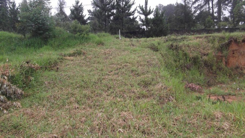 Terreno Em Chácara Recanto Verde, Cotia/sp De 0m² À Venda Por R$ 250.000,00 - Te751436