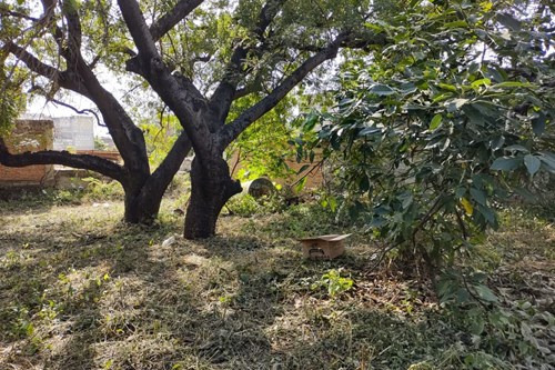 Terreno En Venta En Jiutepec