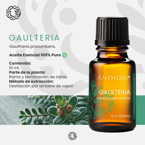 Anthizo Aceite Esencial De Gaulteria, 10 Ml, Gaultheria Proc