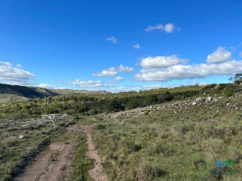 Imagen 11 de 24 de Lindo Campo Para Fraccionar, Sobre Ruta Y A Poco Mas De 1 Hora De Punta
