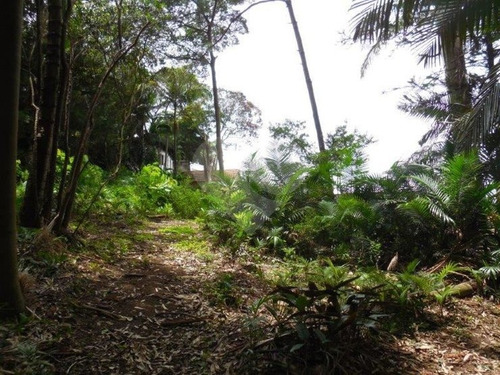 Terreno Em Brooklin Velho - 353-im195595