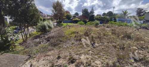 Imagen 8 de 12 de Terreno Zona Sausalito 660 Mts - Maldonado Sausalito