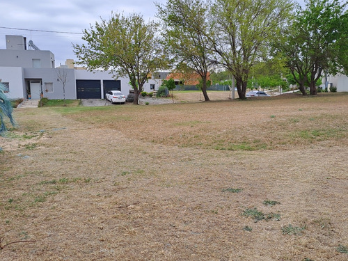 Vendo, Los Mejores 30 Lotes De Bª Tejas 4 - Rec Auto