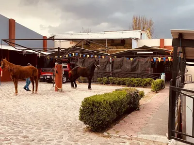 Rancho en venta