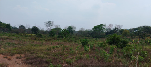Terreno En Renta De Terreno A Pie De Carretera En Sebastopol Tuxtepec Oaxaca